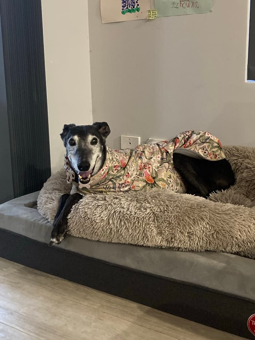 Carly's Yummy Treats - Carly