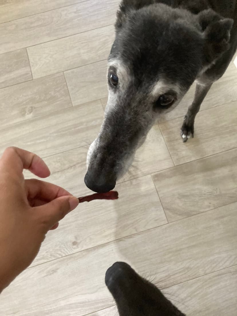 Carly's Yummy Treats - Carly