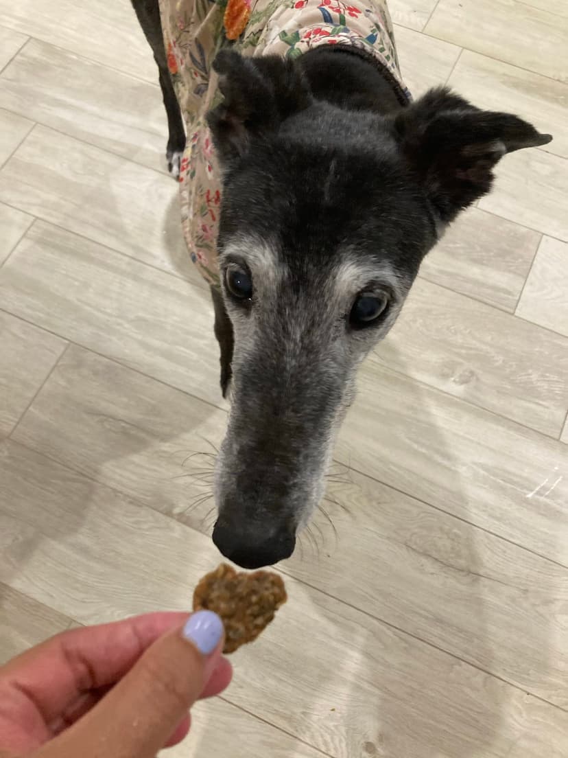 Carly's Yummy Treats - Carly